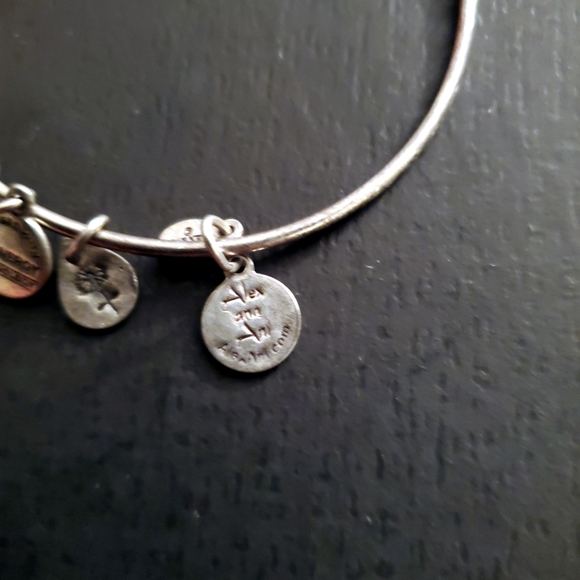 2 Alex & Ani Adjustable bracelets Silver & Gold - Picture 3 of 6